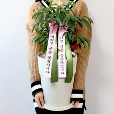 bdf35cc8c043da880a525664e13d648cfb5107c008719600bb4c5dfa26bd.jpg