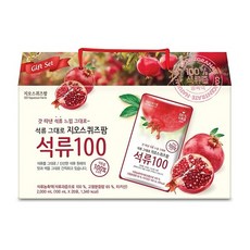 지오스퀴즈팜 석류100(100ml*20개입), 20개입, 100ml