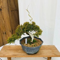 사어천진백