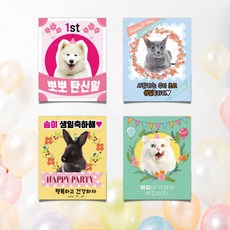 반려동물즉석카드발급기