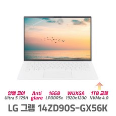 LG그램 14ZD90S-GX56K 24년 울트라5 16GB SSD 업그레이드 사무용 학생용 가벼움, Free DOS, 1TB, 화이트