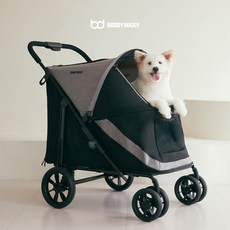 버디두기라이더테리