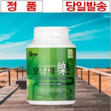 굿모닝월드 모닝락 350g 3.5g 150포 차전자피 장건강 변비, 1개