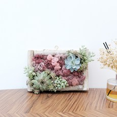 티움유어라이프 스칸디아모스 액자 천연이끼 벽걸이 실내공기정화식물