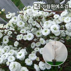 1182035f4afe4b6d51d21f5faef63c50a69acad1cbe200c141b3af94e05a.jpg