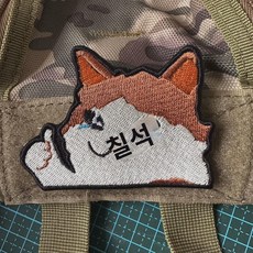 고양이 사기장 디어 눈물 엄지 척 매직 스티커 돌격 옷 스티커 무료, 사이즈 8x6, 1개