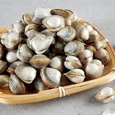 지투지샵 중국산 동죽 2kg, 1개