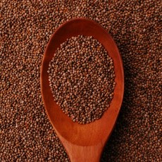 국내산 통들깨 생들깨 1kg, 1개