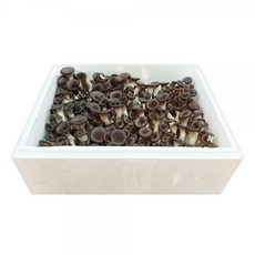 느타리버섯볶음