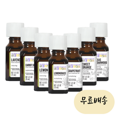 아우라 카시아 에센셜오일 아로마 오일 라벤더 당근씨 라임 오렌지 레몬 티 트리 페퍼민트 59mL 모음 5. 로즈마리 Rosemary 15mL, 1개