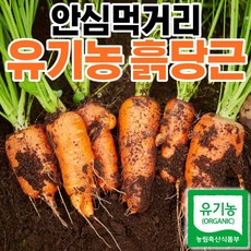 당근마켓gtx1650
