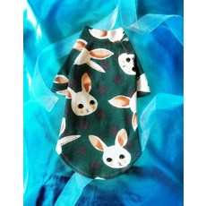 소잉디자이너펫의상