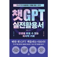 챗GPT 실전활용서:인생을 바꿀 수 있는 마지막 기회, 하이스트, 챗GPT 실전활용서, 임현수(저),하이스트,(역)하이스트,(그림)하이스트