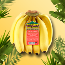 풍미왕바나나