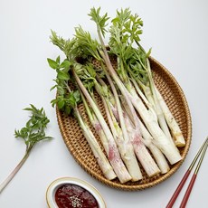 채소다움 국내산 향긋한 건강 땅두릅, 1박스, 2kg