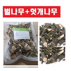 헛개나무묘목