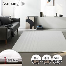 엘지하우시스매트