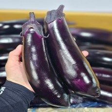 하나네야채 수분듬뿍 가지, 1박스, 2kg(특품)
