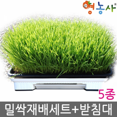 771ef08bd2c35f88d963c8dfc8956f0c8494849af91d2aa1c162b2180dbc.png