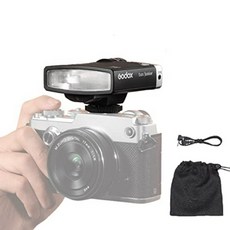 고독스룩스주니어