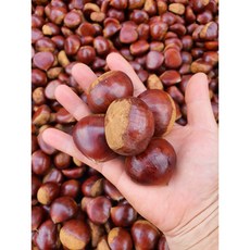 사곡알밤주동탄