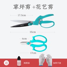 yula의자수화초처방전