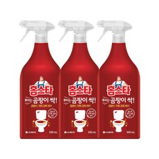 홈스타뿌리는곰팡이싹