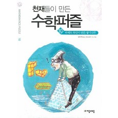 천재들이 만든 수학퍼즐 10.: 피에트 하인이 만든 쌓기나무, 자음과모음, 김태완 저