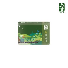 숲바른 기저귀 팬티형(특대형) 22p x 12팩 264매, 특대형(XL)