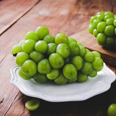 자연맛남 고당도 망고포도 샤인머스켓 과수별