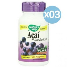Nature's Way 네이처스 웨이 스탠더다이즈드 아카이 안티옥시던트 60캡슐 3팩 Standardized Acai, 3개, 60정