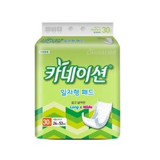 카네이션 성인용기저귀 일자형 실속 30매 x 8팩 (240매), 8개, 240개입