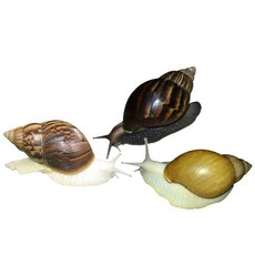 a00e07e22e744a29ea3b6199de1497fd7880c02fcb58be2299edf5d5f47e.JPG