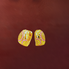 여자순금귀걸이7.5