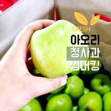 사과 청송 아오리 썸머킹 썸머프린스 풋 햇 청 초록 사과, 1개, (특대) 4kg (14-18과)