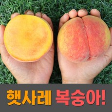 상주복숭아