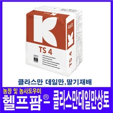 딸기상토