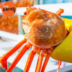 국내산 제철 박달 대게 홍게 울진 홑게 영덕 당일조업, 홍게 3kg (270-330g) 9-10미, 1개