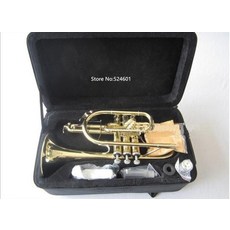 바하트럼펫수입