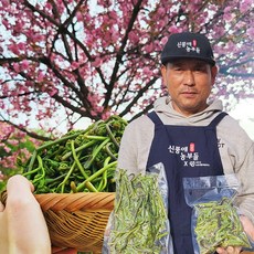 햇고사리 삶은 데친 고사리 500g 1kg 2kg, 고사리 1kg, 2개