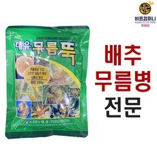 다육이무름