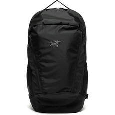 아크테릭스빔즈