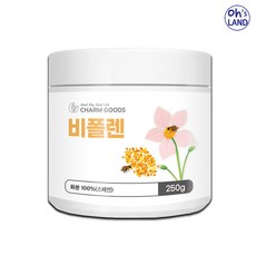 참굿즈 비폴렌 벌화분, 250g, 1개