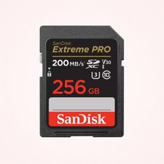 샌디스크 에스티원테크 공식인증 제품 SD메모리카드 SDHC Extreme Pro 익스트림 프로 UHS-I SDXXD, 256GB, 1개