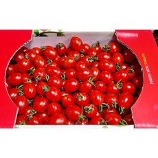 토마토 못난이토마토 방울토마토 2kg 5kg 10kg, 방울토마토 4-5번 2kg