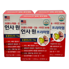 인사동원데이클래스