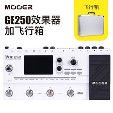 이펙터 MOOERGE100GE150GE200GE250GE300표본채집 IR전기기타 종합 효과기, T05-GE250+비행 상자