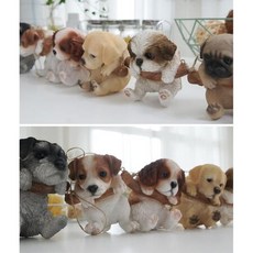 강아지미니어처