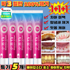 5개![입냄새 제거 및 잇몸 케어] 베이킹소다 효소 화이트닝 치약 일본 베이킹소다 치약 화이트닝 치약, (1+1)소다 치약*2개