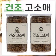 건조고소애 100g x 2병, 2개